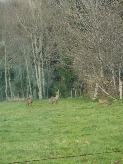 La Magie Entre Deux Lacs เฌราร์แมร์ ภายนอก รูปภาพ